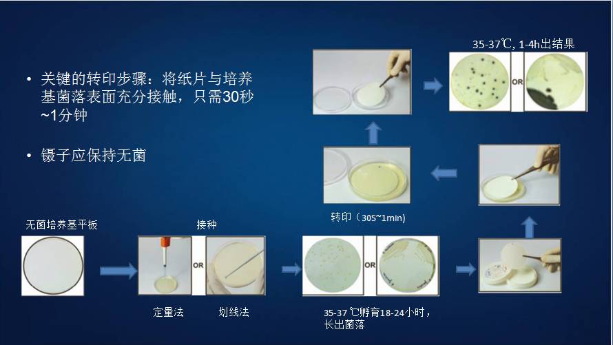HiDtect™快速鉴定纸是细菌学检测的一场革命！