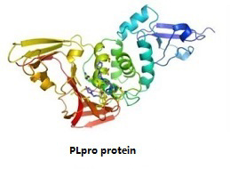 TargetMol's 7 libraries for your research to combat against covid-19
