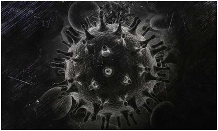 全球HIV-1传播图揭示HIV-1疫苗开发面临的挑战