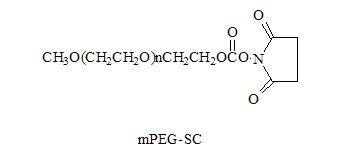 甲氧基聚乙二醇-琥珀酰亚胺碳酸酯，MPEG-SC，mPEG-Succinimidyl Carbonate