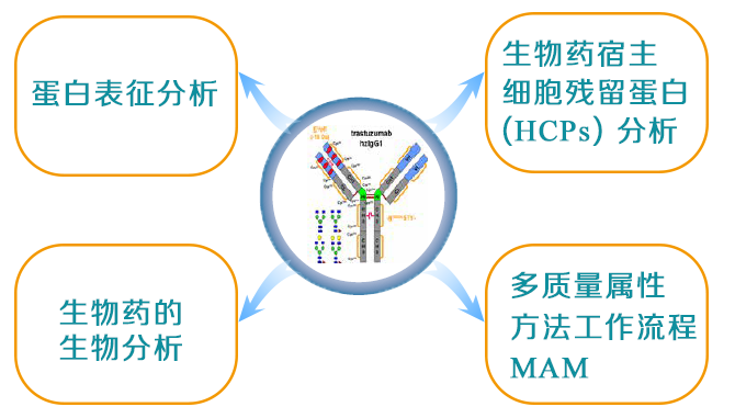 Orbitrap高分辨质谱在生物药物研发和质量控制中的应用