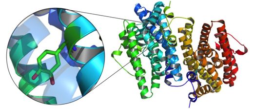 Nature：揭示支原体病原体悄悄越过人体免疫防线新机制