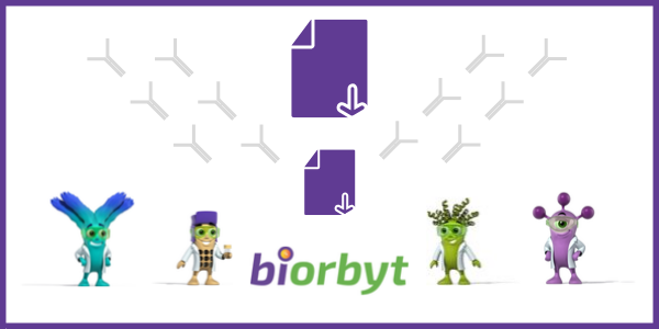 冠状病毒研究系列最畅销抗体：ACE，Coronavirus抗体