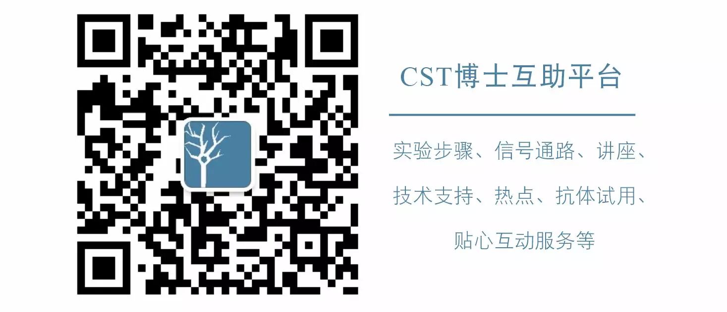 CST抗体热线，与您“周末”遇见！