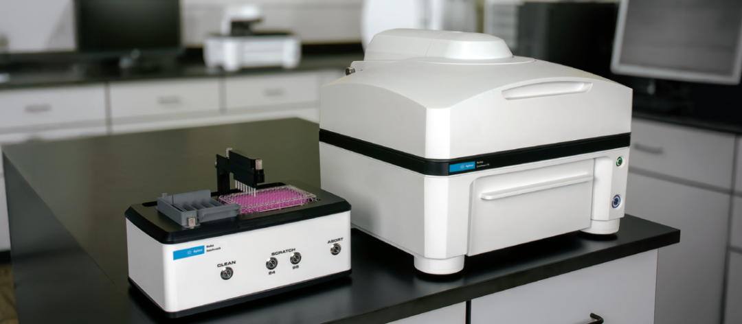 告别手抖！告别误差！AutoScratch + Imaging 实现细胞划痕实验的终/极自动化