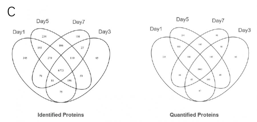 Orbitrap Exploris™ 480的一站式解决方案