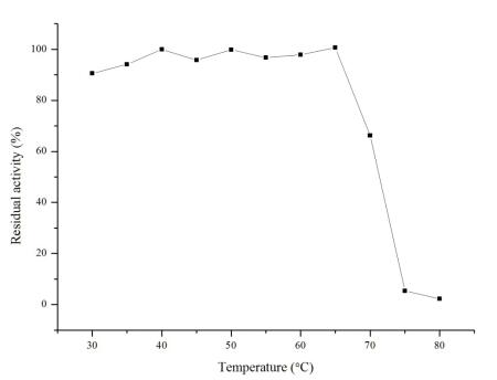 新产品推介—嘌呤核苷磷酸化酶(PNP)