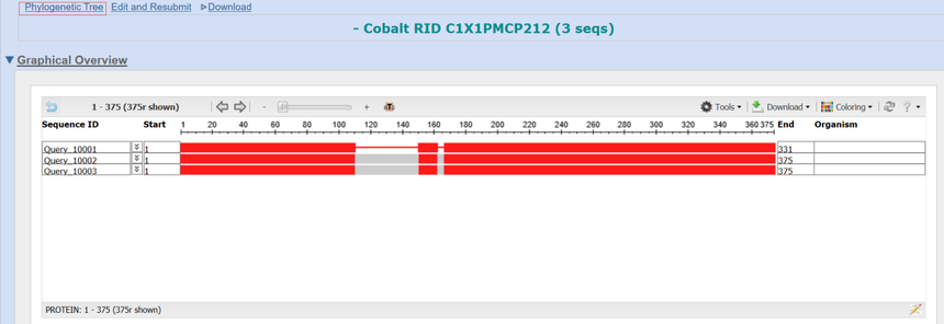 蛋白序列比对和进化树的绘制 蛋白序列比对和进化树的绘制