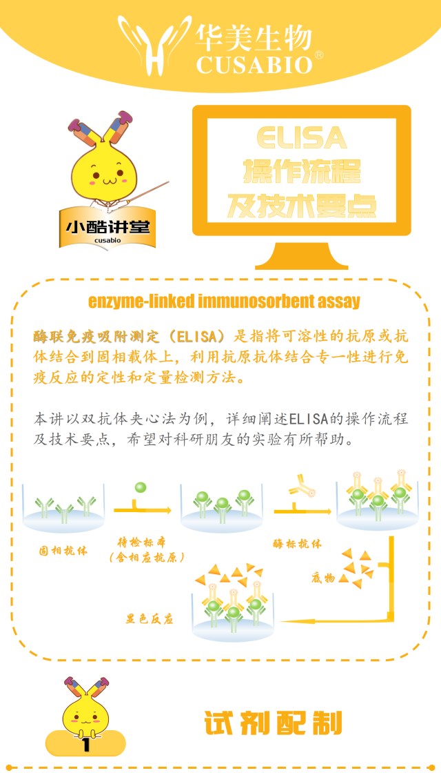 【实验技术】小酷讲堂之ELISA操作流程及技术要点