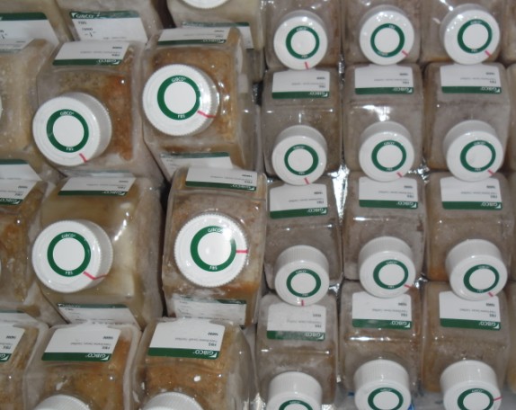 胎牛血清 【GIBCO原装】现货促销！