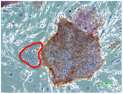 2416165546758993.png image.png