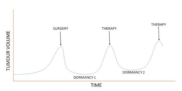 【前沿资讯】为何癌细胞会休眠？如何利用创新性疗法狙杀休眠的癌细胞？