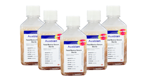 如何避免胎牛血清中的沉淀