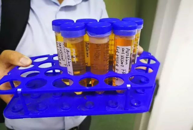  如何判断胎牛血清质量？