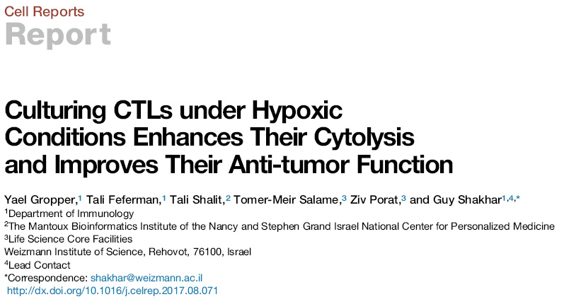 Cell Reports：缺氧，让T细胞抗癌功能更强大！或有助于CAR-T对抗实体瘤