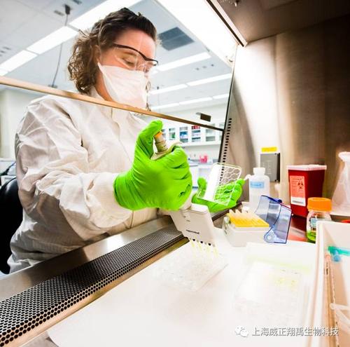 快速『祛除DNA污染』——PCR护驾利器问世！