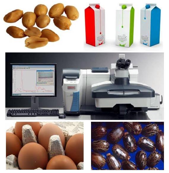 网络讲座:表面增强拉曼散射(SERS)在食品安全中的应用: 外源蛋白质检测