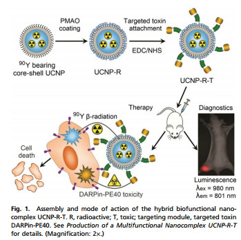 合二为一！诊疗纳米药高度杀伤癌细胞