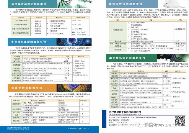 福利!送抗体试剂试用装啦!