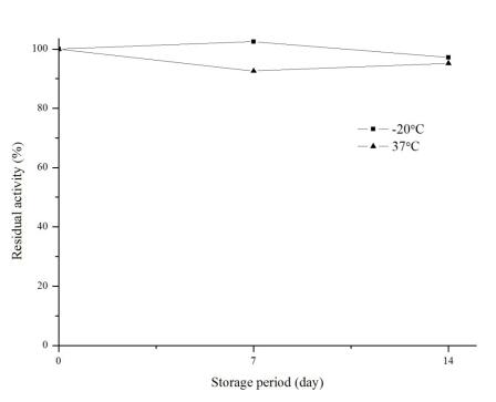 新产品推介—嘌呤核苷磷酸化酶(PNP)