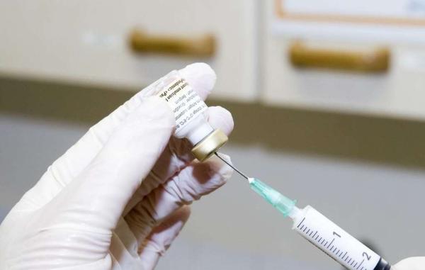 Vero细胞无血清培养的应用