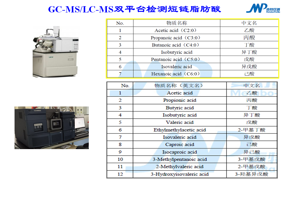 公开课回顾 | 菌群代谢物--短链脂肪酸的功能与应用