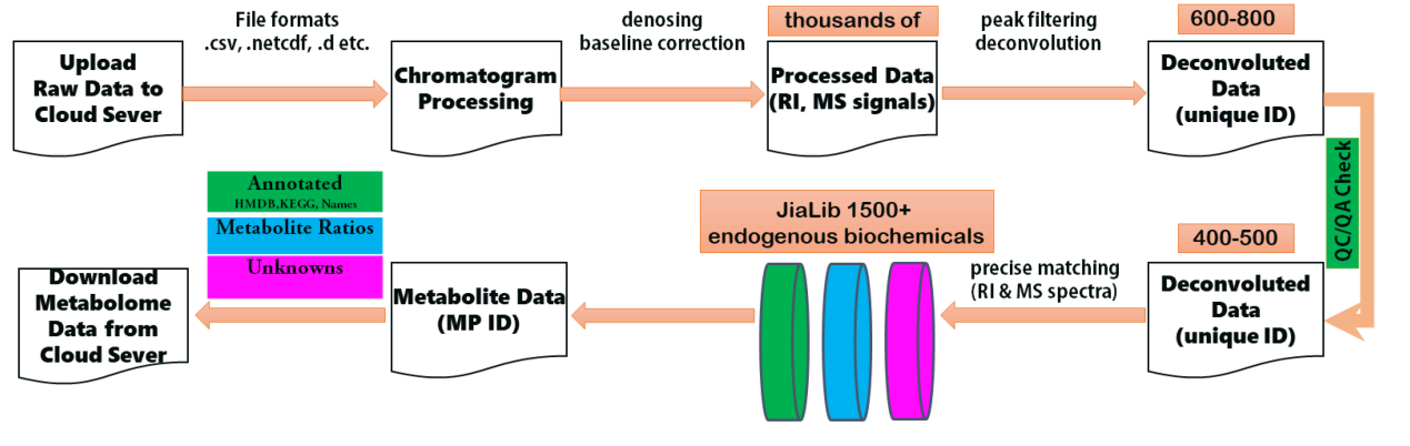 引领行业 │ 聚焦麦特绘谱代谢组学整体解决方案