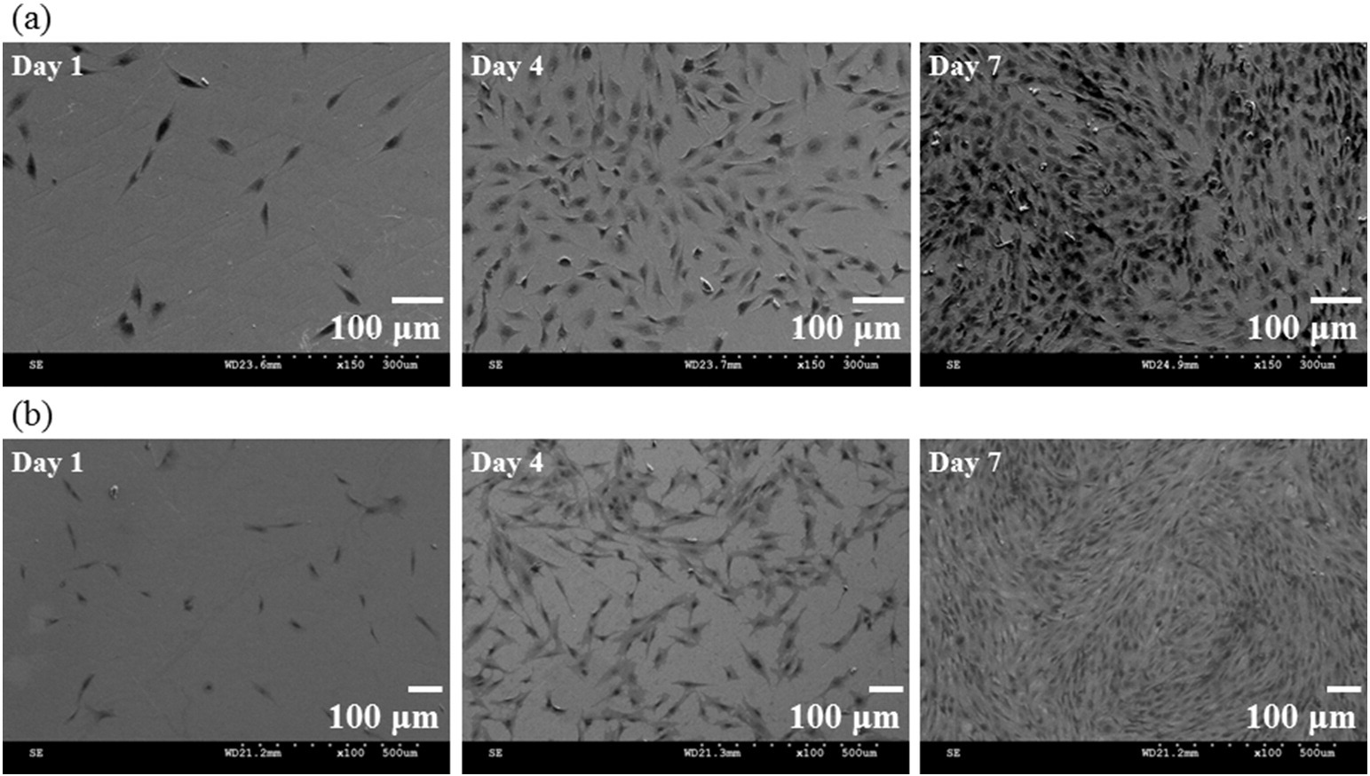 【多肽合成】美国ABBIOTEC国外多肽合成公司提供高品质服务!
