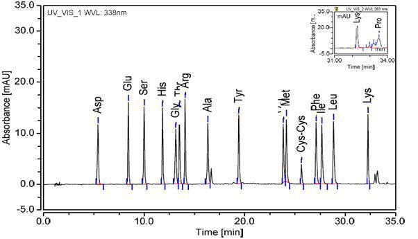 探索生命之源，遇见氨基酸打开冬日味蕾