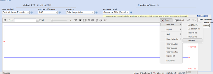 蛋白序列比对和进化树的绘制 蛋白序列比对和进化树的绘制