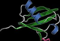 Absin抑制剂大推荐——泛素化蛋白酶体