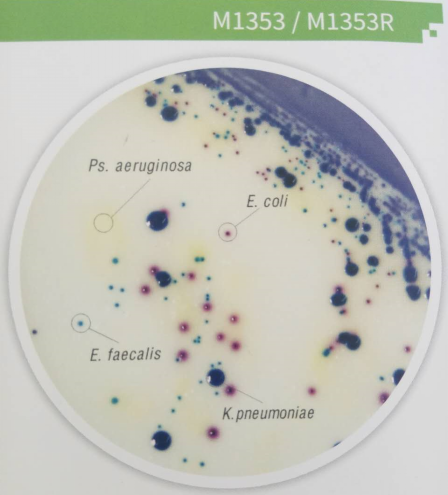 尿道病原菌显色培养基