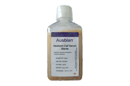 使用新生牛血清培养后的肠道干细胞