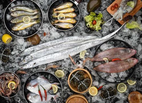 危害水产养殖业的致病菌——弧菌