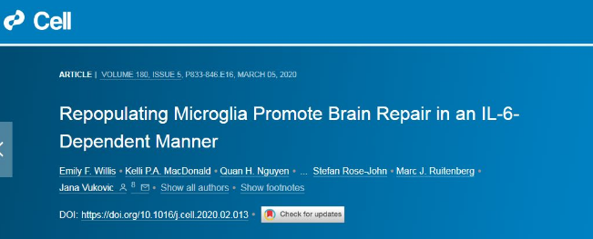 大脑修复！小胶质再生可改善 TBI后认知障碍