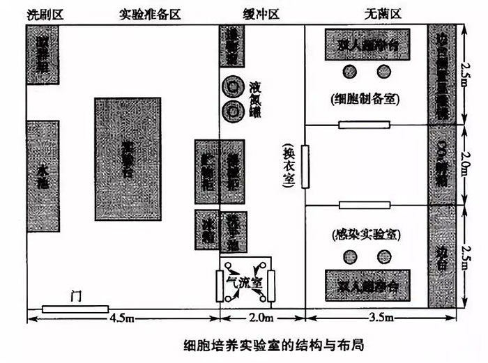 细胞实验室建设，你必须知道的5件事!