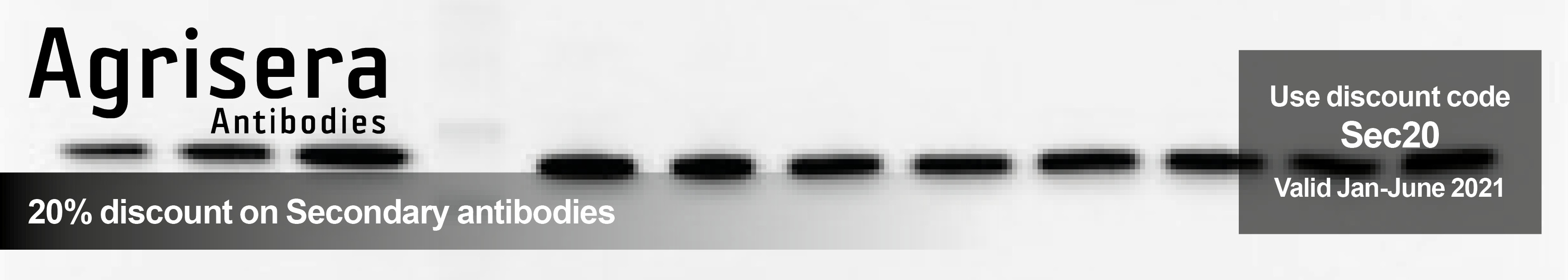 20% discount on HRP conjugated secondary antibodies