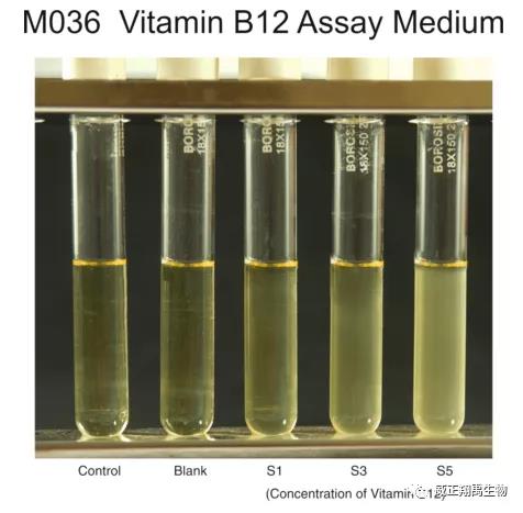微信图片_20200820105913 微生物法测定维生素B12,要用优质培养基