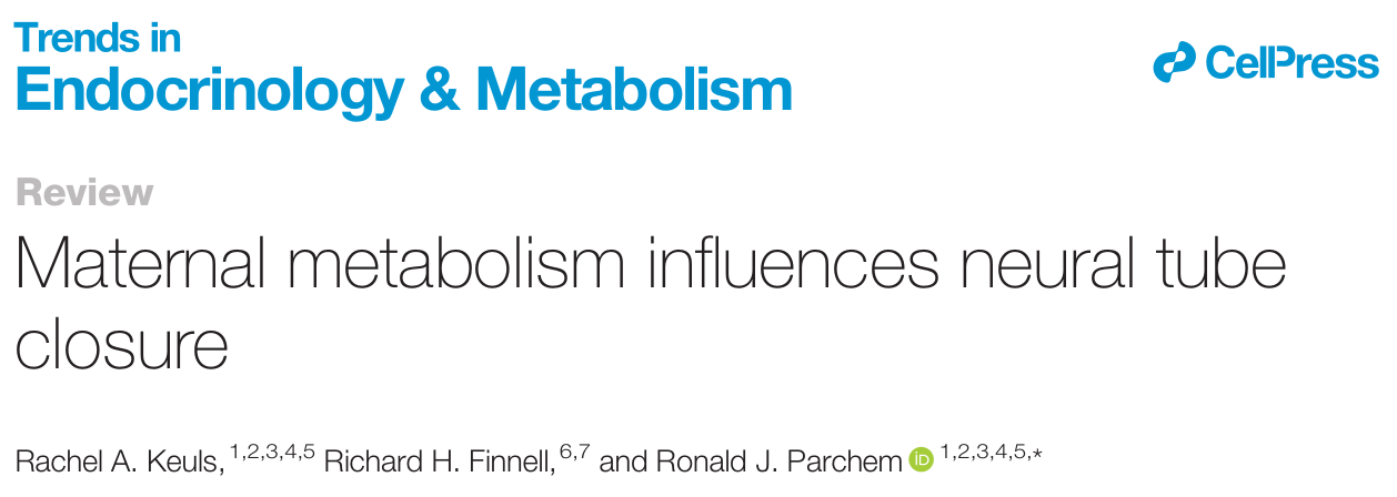 重磅综述 | 母体代谢对神经管发育的影响