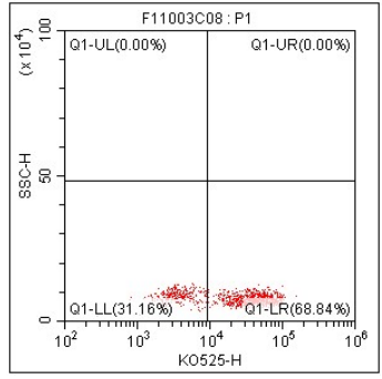 流式抗体新品发布丨配色更丰富，实验更方便