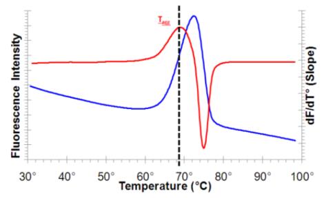 艾美捷热转移稳定性检测试剂盒解决方案 艾美捷热转移稳定性检测试剂盒解决方案