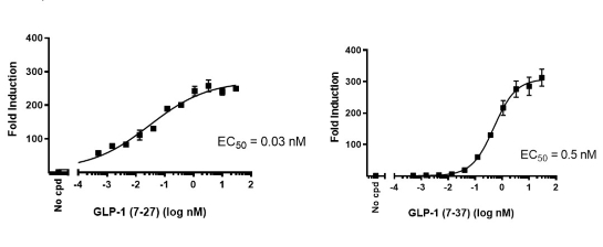 GLP-1R/CRE Luc报告基因 HEK293 细胞系