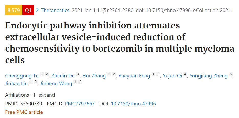 多发性骨髓瘤细胞内吞途径抑制后，EVs介导的对硼替佐米化学敏感性降低