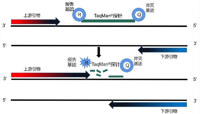 新闻图片2