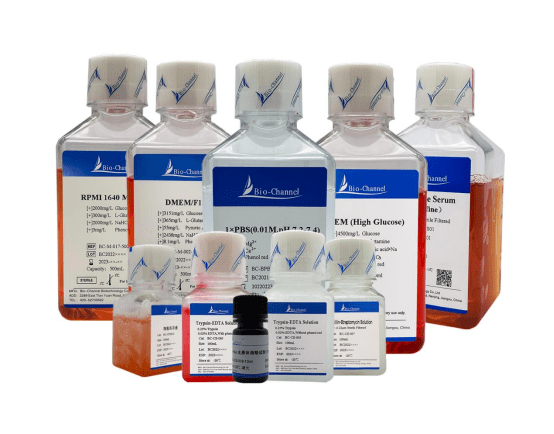 森贝伽生物：细胞培养—动物细胞培养基成分详解 