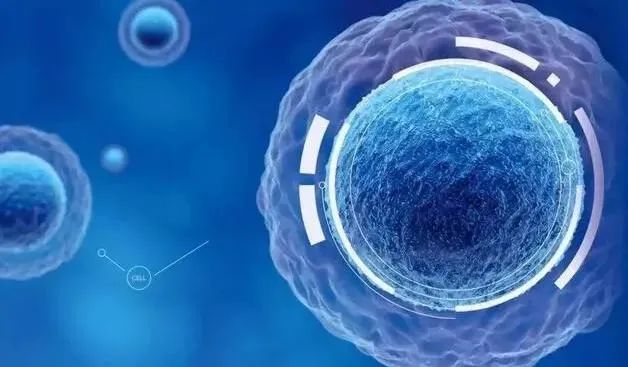 知识科普｜免疫细胞—CIK细胞和NK细胞，那一个更重要？