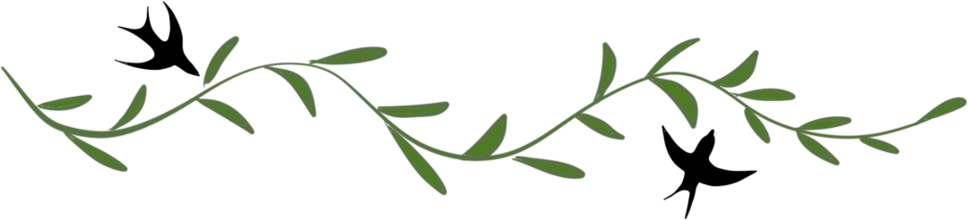 农残国标发布一年,它做农残也有奇效?