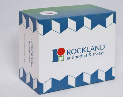 艾美捷内毒素检测试剂盒参数和化学性质说明 艾美捷内毒素检测试剂盒参数和化学性质说明