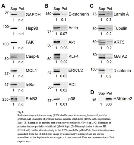 WB半定量内参有丢失，你却一直不知道？