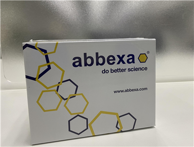 Abbexa无核酸酶水，让你的实验更省钱！